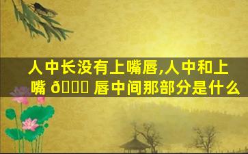 人中长没有上嘴唇,人中和上嘴 🐕 唇中间那部分是什么